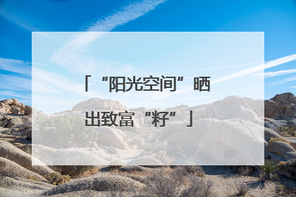 “阳光空间”晒出致富“籽”
