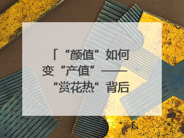 “颜值”如何变“产值”——“赏花热”背后的产业图谱