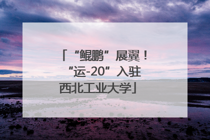 “鲲鹏”展翼！“运-20”入驻西北工业大学