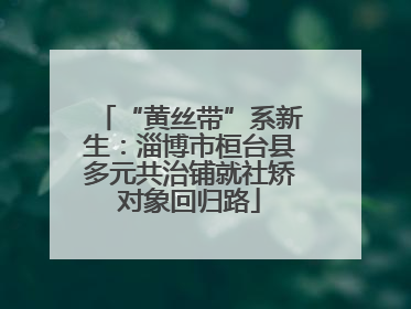 “黄丝带”系新生：淄博市桓台县多元共治铺就社矫对象回归路