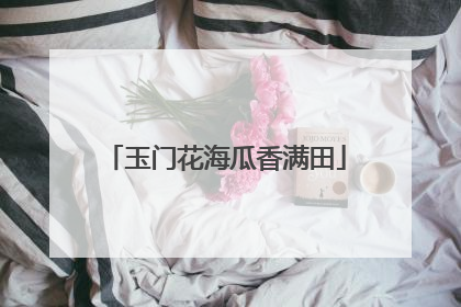 玉门花海瓜香满田