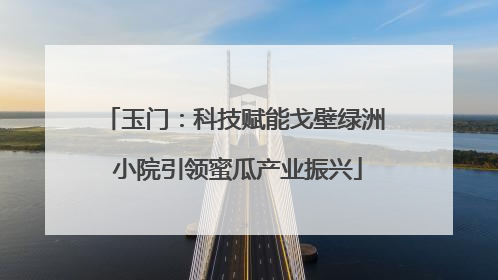 玉门：科技赋能戈壁绿洲 小院引领蜜瓜产业振兴