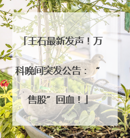 王石最新发声！万科晚间突发公告：“售股”回血！