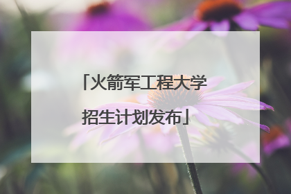 火箭军工程大学招生计划发布