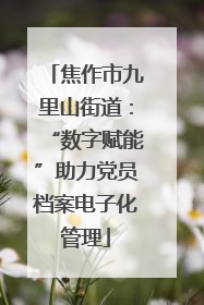 焦作市九里山街道：“数字赋能”助力党员档案电子化管理