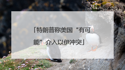 特朗普称美国“有可能”介入以伊冲突