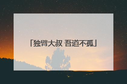 独臂大叔 吾道不孤