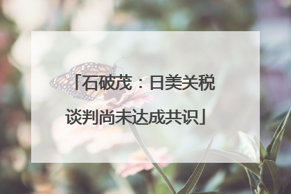 石破茂：日美关税谈判尚未达成共识