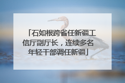 石如根跨省任新疆工信厅副厅长，连续多名年轻干部调任新疆