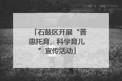 石鼓区开展“普惠托育、科学育儿”宣传活动
