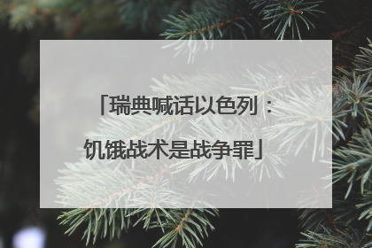 瑞典喊话以色列：饥饿战术是战争罪