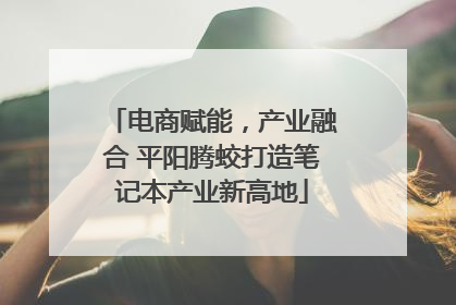 电商赋能，产业融合 平阳腾蛟打造笔记本产业新高地