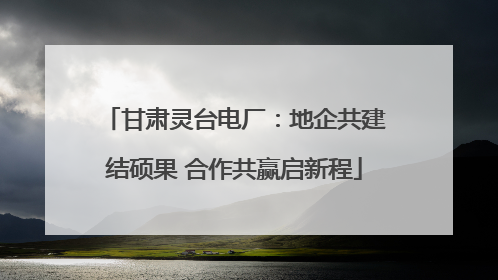 甘肃灵台电厂：地企共建结硕果 合作共赢启新程
