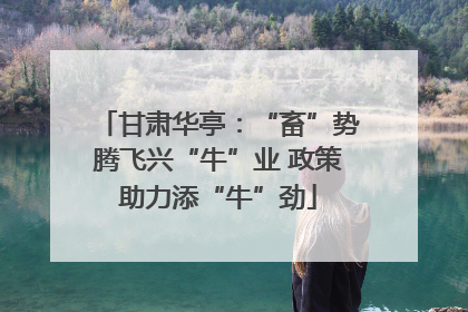 甘肃华亭：“畜”势腾飞兴“牛”业 政策助力添“牛”劲