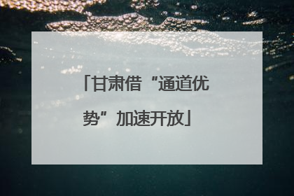 甘肃借“通道优势”加速开放