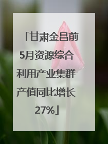甘肃金昌前5月资源综合利用产业集群产值同比增长27%