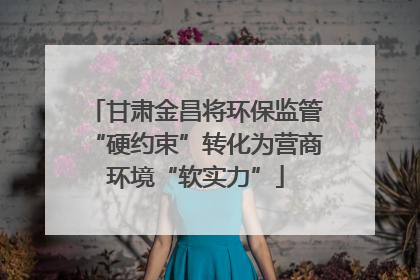 甘肃金昌将环保监管“硬约束”转化为营商环境“软实力”