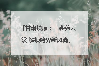 甘肃镇原：一袭剪云裳 解锁跨界新风尚