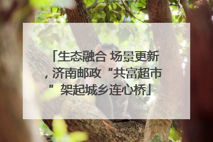 生态融合 场景更新，济南邮政“共富超市”架起城乡连心桥