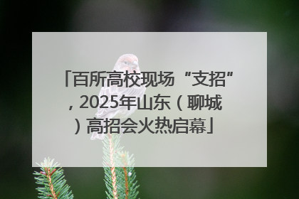 百所高校现场“支招”，2025年山东（聊城）高招会火热启幕