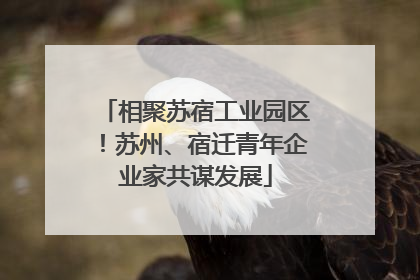 相聚苏宿工业园区！苏州、宿迁青年企业家共谋发展