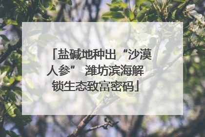 盐碱地种出“沙漠人参” 潍坊滨海解锁生态致富密码