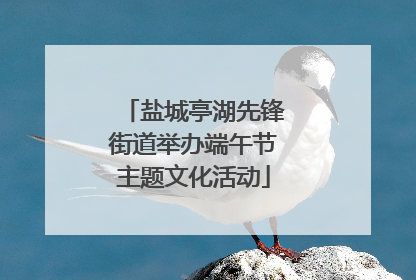盐城亭湖先锋街道举办端午节主题文化活动