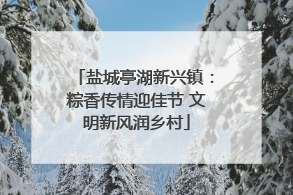 盐城亭湖新兴镇：粽香传情迎佳节 文明新风润乡村