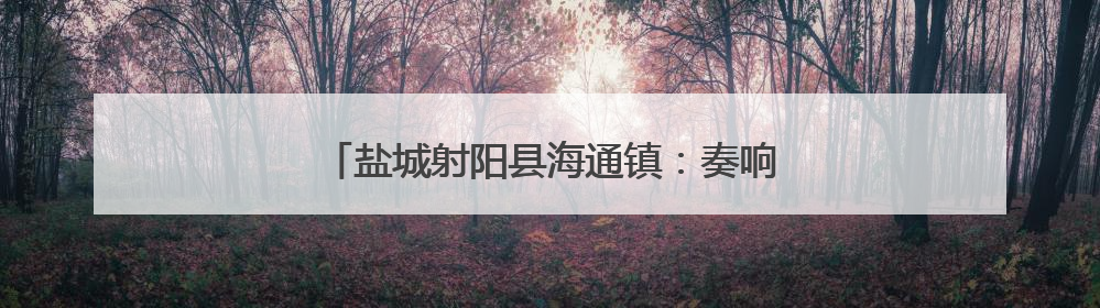 盐城射阳县海通镇：奏响乡村振兴“夏之华章”
