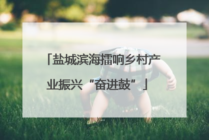 盐城滨海擂响乡村产业振兴“奋进鼓”