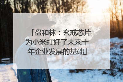 盘和林：玄戒芯片为小米打好了未来十年企业发展的基础
