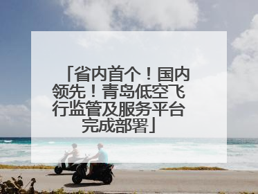 省内首个！国内领先！青岛低空飞行监管及服务平台完成部署