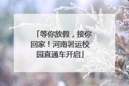 等你放假，接你回家！河南暑运校园直通车开启