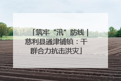 筑牢“汛”防线｜慈利县通津铺镇：干群合力抗击洪灾
