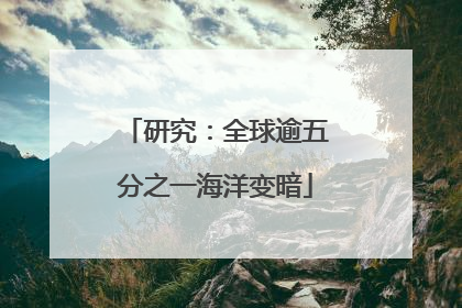 研究：全球逾五分之一海洋变暗