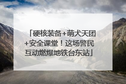 硬核装备+萌犬天团+安全课堂！这场警民互动燃爆地铁台东站