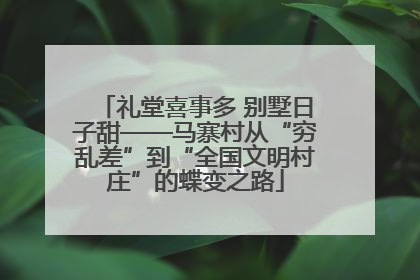 礼堂喜事多 别墅日子甜——马寨村从“穷乱差”到“全国文明村庄”的蝶变之路