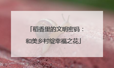 稻香里的文明密码：和美乡村绽幸福之花