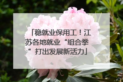 稳就业保用工！江苏各地就业“组合拳”打出发展新活力