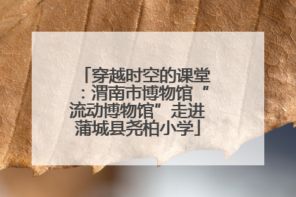 穿越时空的课堂：渭南市博物馆“流动博物馆”走进蒲城县尧柏小学