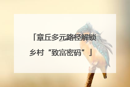 章丘多元路径解锁乡村“致富密码”