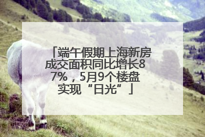 端午假期上海新房成交面积同比增长87%，5月9个楼盘实现“日光”