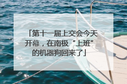 第十一届上交会今天开幕，在南极“上班”的机器狗回来了