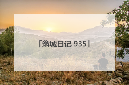 翁城日记 935