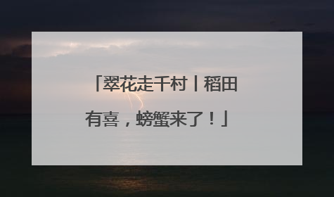 翠花走千村丨稻田有喜，螃蟹来了！