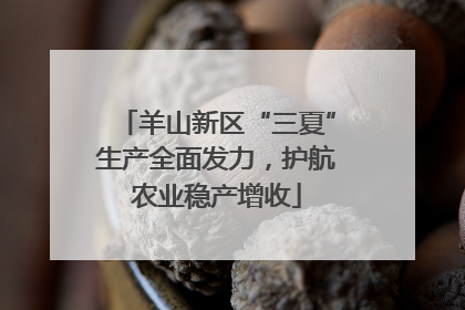 羊山新区“三夏”生产全面发力，护航农业稳产增收