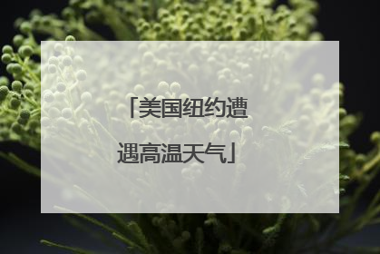 美国纽约遭遇高温天气