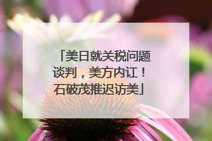 美日就关税问题谈判，美方内讧！石破茂推迟访美
