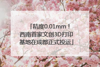 精度0.01mm！西南首家文创3D打印基地在成都正式投运