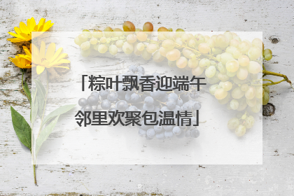 粽叶飘香迎端午 邻里欢聚包温情